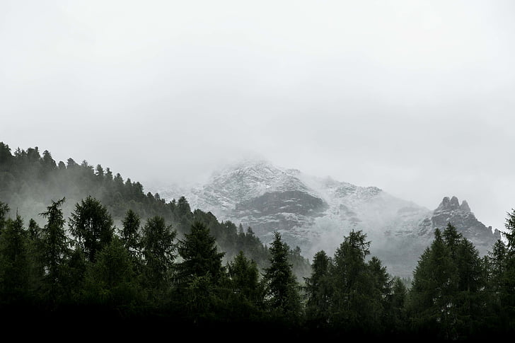 cảnh quan, Nhiếp ảnh, tuyết rơi, dãy núi, màu xanh lá cây, cao, cây
