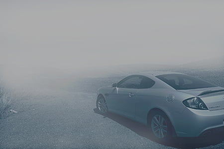 automobile, automotive, black-and-white, car, fog, foggy, mist