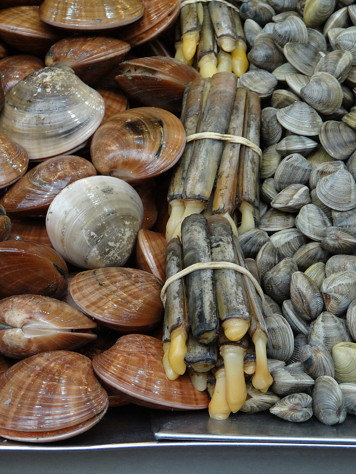 musslor, marknaden, Malaga, fisk, mat, äta, Frisch
