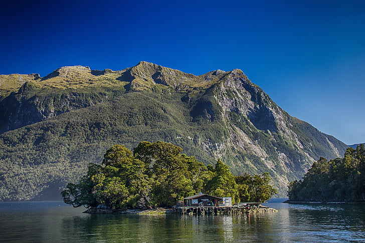 new zealand, doubtful sound, fjord, hut, mountain, nature, lake