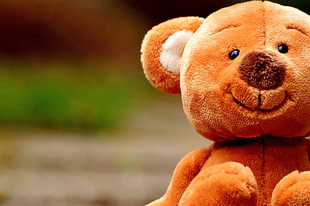 Teddy, lindo, animal, juguete de peluche, felpa, animal de peluche, dulce