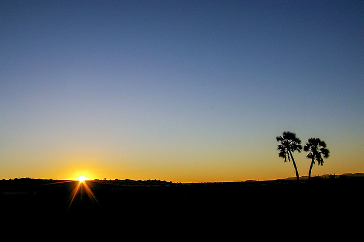 Namibya, Afrika, günbatımı, palmiye ağaçları, Akşam gökyüzü, ruh hali, doğa