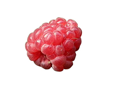 Berry, Malina, červená, ovoce, řezané out, koncept, bílá