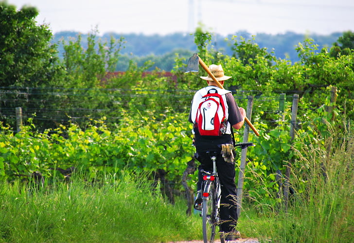field, green, nature, cyclist, village, spring, outdoors