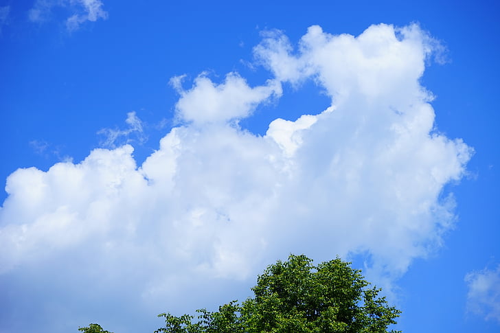 debesys, dangus, debesų susidarymas, mėlyna, balta, Cumulus debesys, Cumulus