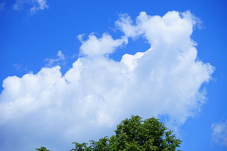 clouds, sky, cloud formation, blue, white, cumulus clouds, cumulus