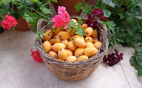 frutas, níspero, flores, cesta