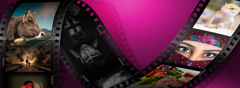 Foto-tijdlijn, negatieve, film, foto film, Foto strip, roze kleur, paars