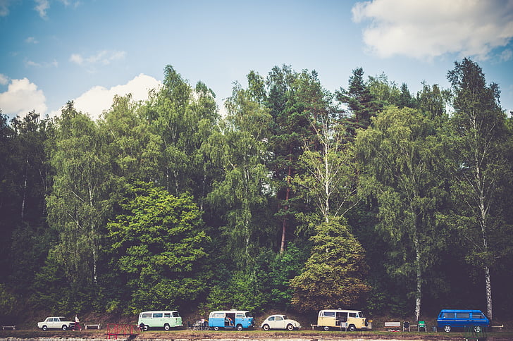 parked, cars, vans, vehicles, camping, outdoors, nature