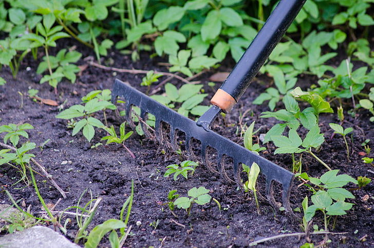 gardening, rake, garden, tool, equipment, springtime, seasonal