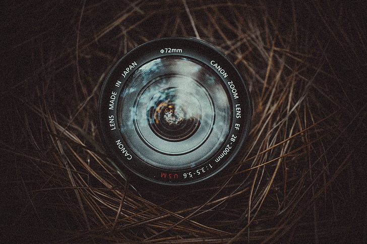 dangkal, fokus, fotografi, mm, Canon, zoom, lensa
