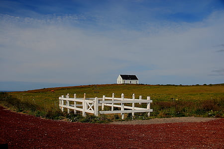 Islanda, campagna, azienda agricola, campi, Casa, solitario, singola