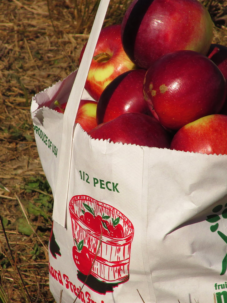 maçãs, frutas, comida, vermelho, fresco, saudável, orgânicos