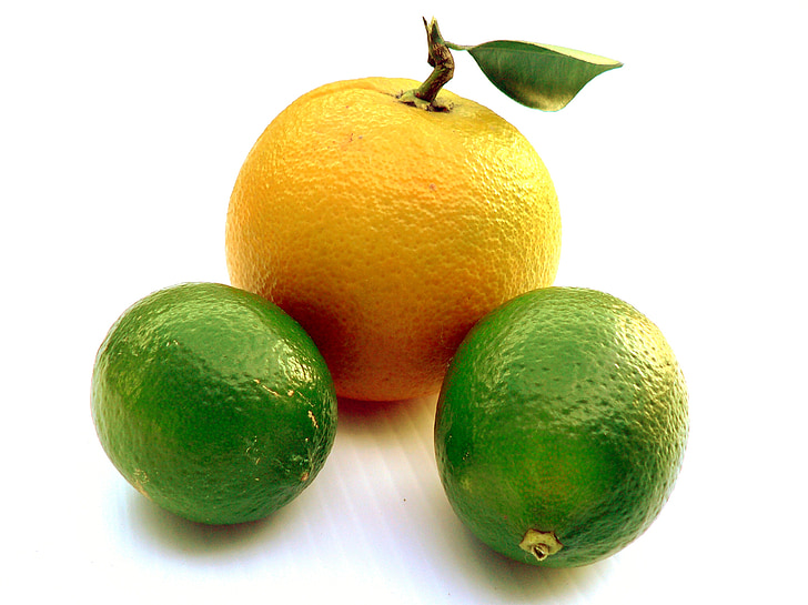 frugter, Citrus, orange, mad, frisk, sund, citron