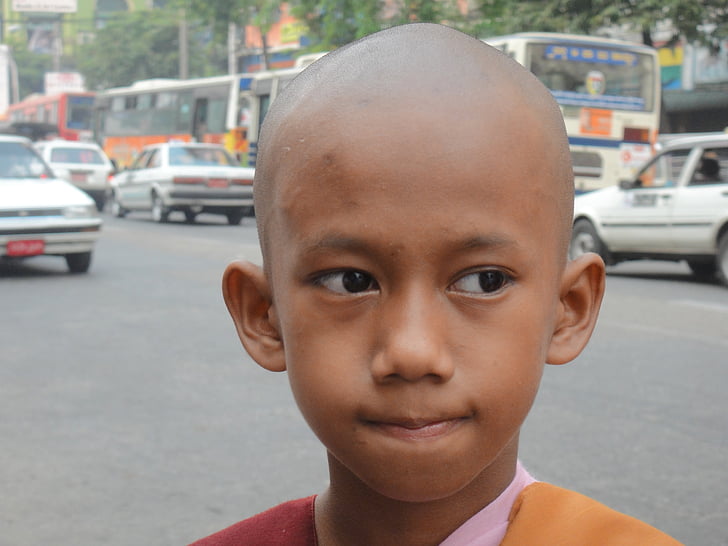 Monk, religion, buddhismen, trogna, ansikte, Myanmar, Burma