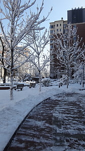 Bendrijos, sniego, juostos, automobilių stovėjimo aikštelė, pėsčiųjų takai, žiemą, medis