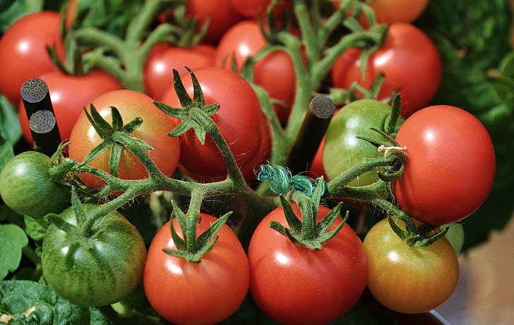tomaten, groenten, rood, heerlijke, markt, stand, voedsel