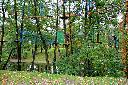 绳索公园, 猴格罗夫, 攀爬, 乐趣, 绳子, 树, 皱