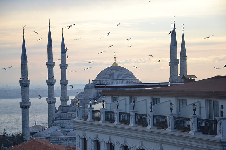 Stambulas, Mėlynoji mečetė, Turkija, Sultanahmet