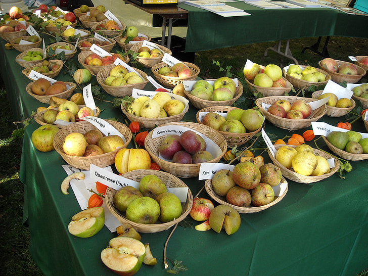 obuoliai, vaisių, vaisiai, pomology, vaisių pripažinimo, maisto, obuolių veislės