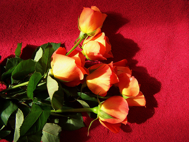 Rožių puokštė, skintos gėlės, oranžinė