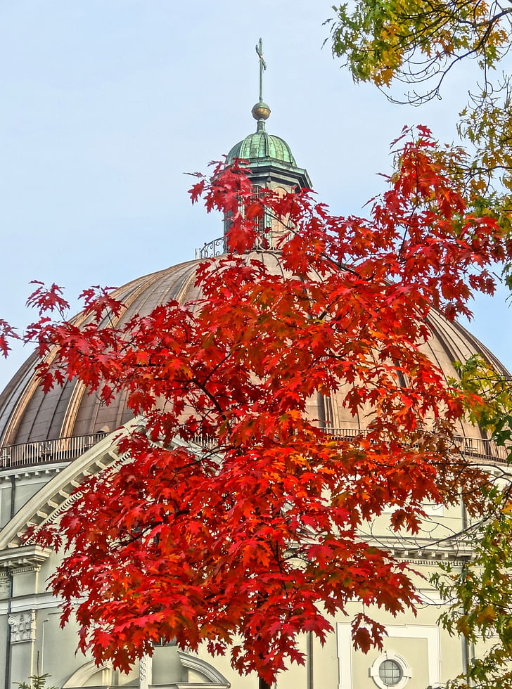 Vincent de paul, Gereja, Basilika St peter, Bydgoszcz, Polandia, musim gugur, Katedral