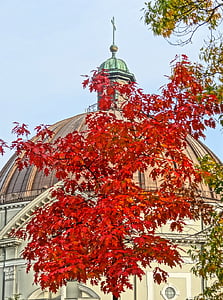 Vicente de paul, Iglesia, Basílica de San Pedro, Bydgoszcz, Polonia, otoño, Catedral