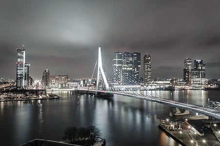 Rotterdam, Nederländerna, Holland, landskap, staden, luft, tornet