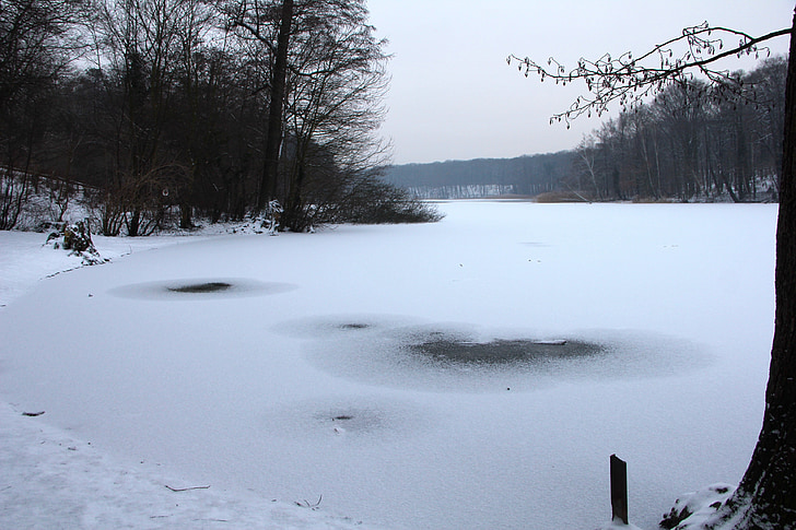natureza, Inverno, Grunewald, Lago, Schlachtensee, neve, paisagem