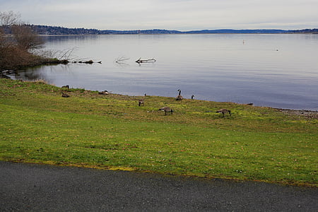 Lac, Washington, Nord-Ouest, nature, paysage
