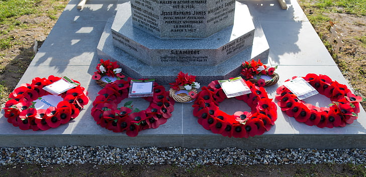 Homenageando os caídos, memorial da guerra, coroas de papoula, lembrança, Monumento, morte