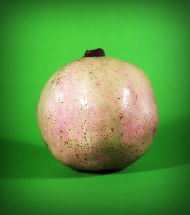 pear, asian, nashi, closeup, isolated, ripe, natural