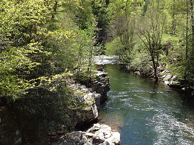 Stream, natur, Mountain, skov, vand, Creek, naturskønne