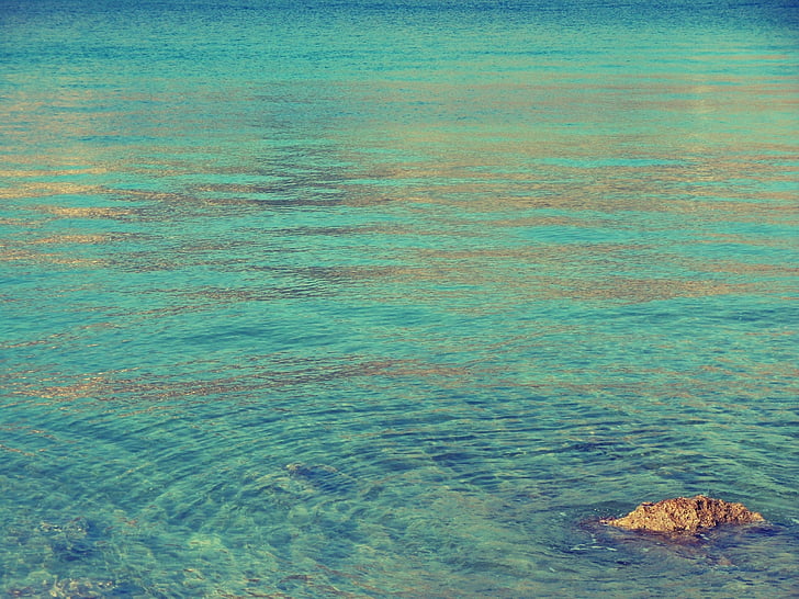 sea, turquoise, gold, water, blue, wave, nature
