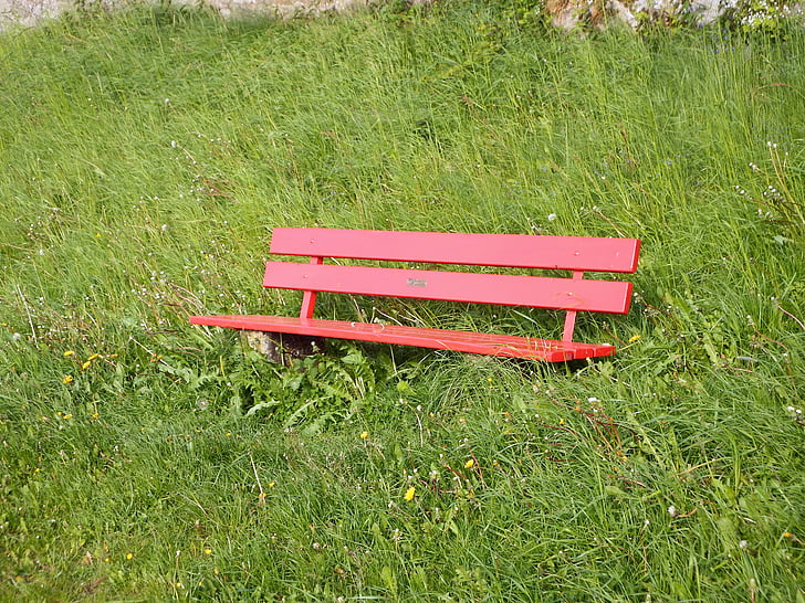 板凳, 草甸, 草, 座位, 银行, 自然, 休息