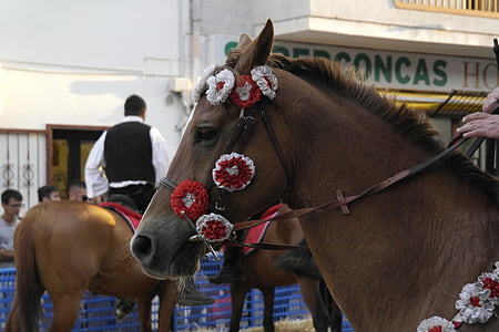 Sardinie, kůň, jezdec