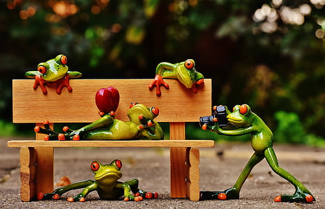frogs, love, bank, bench, relaxed, figure, funny
