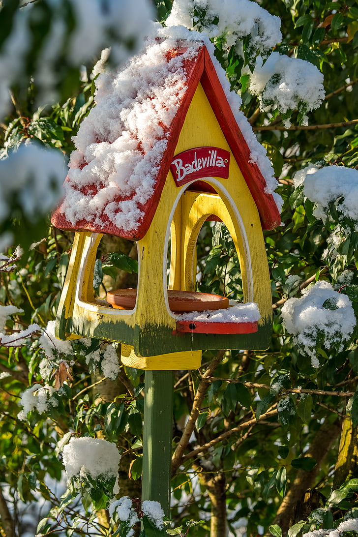 téli, madár, hó, madarak, téli, Songbird, kerti dekoráció