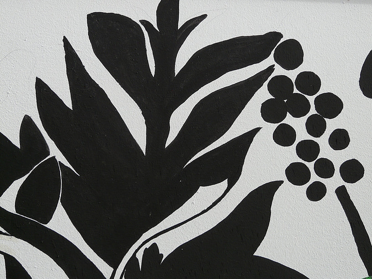 joonistus, viinamarjad, seinamaaling, must ja valge, abstraktne, Art, taim