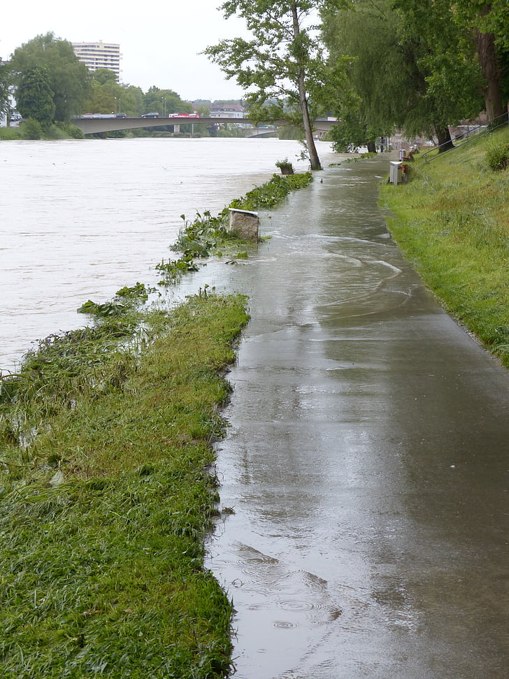 Hochwasser, Donau, Ulm, Regenwetter, Gülle, Regen, nass