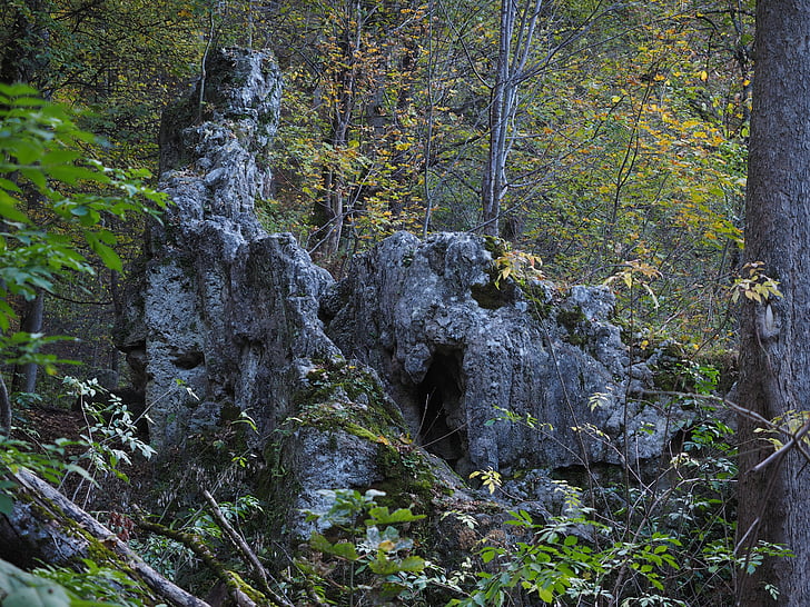 rocha, floresta, bens cachoeiras de steiner, kalktuffberg, tufa, natureza, árvore