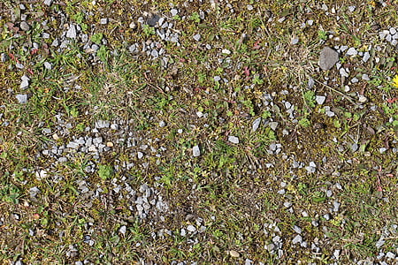 ground, stones, grass, pebble, steinchen, earth, green