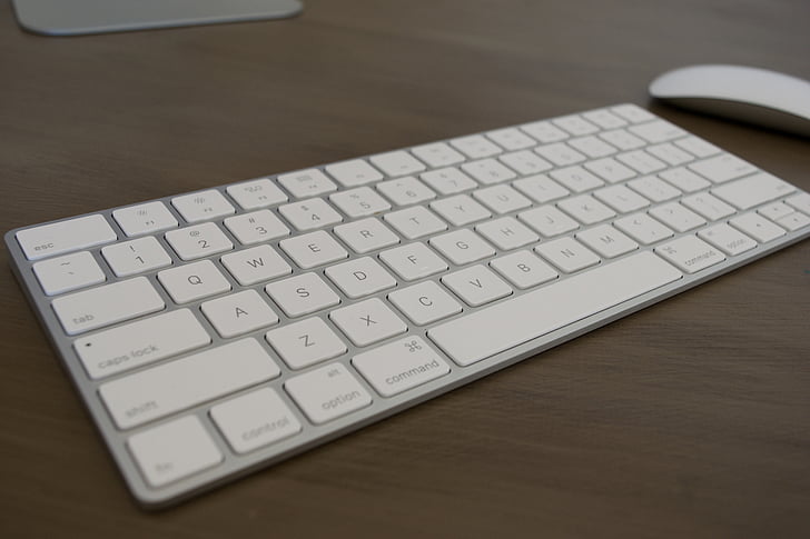 klaviatūra, pelės, obuolių, kompiuteris, verslo, biuras, technologijos