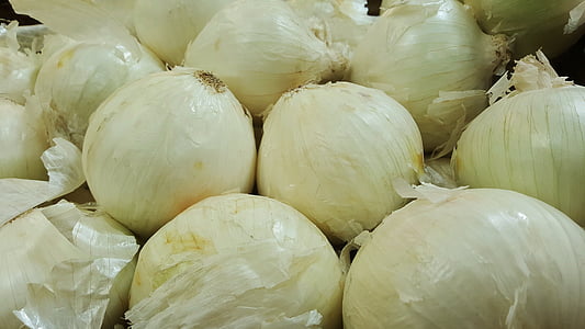 onion, onions, white onions, vegetables, cry, peel, bulbs