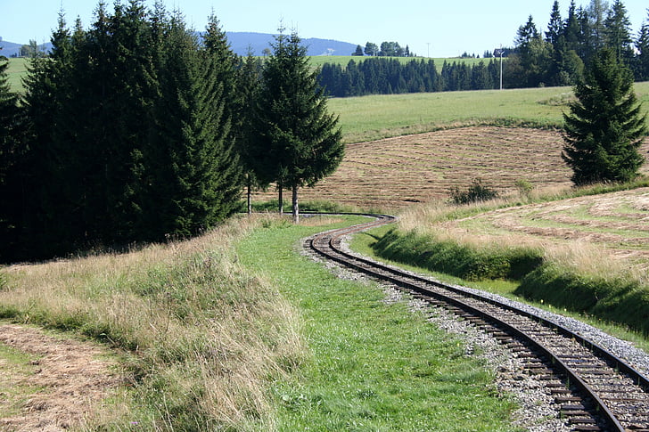 railway, priroda, rails