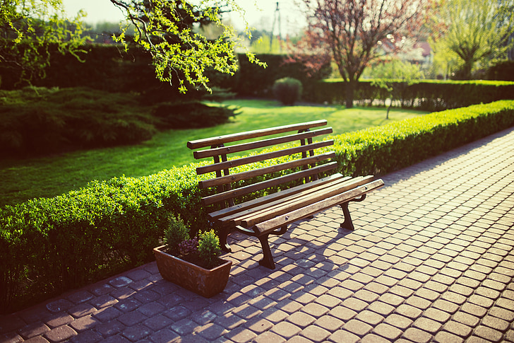 bench, garden, green, grass, spring, evening, sett