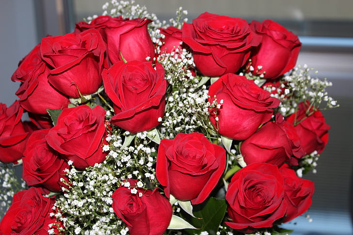 roser, rød, Valentine, kjærlighet, romantikk, røde roser, blomst