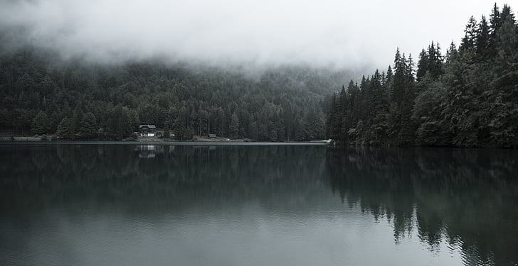 lake, surrounded, trees, cloudy, day, cloud, clouds