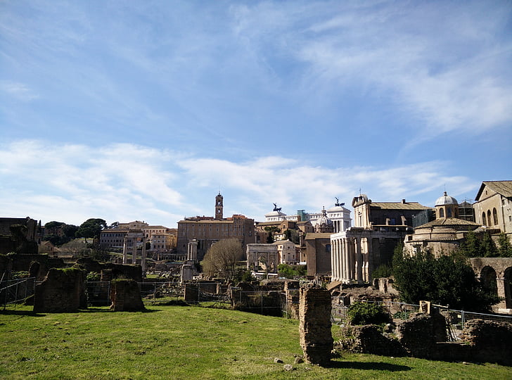colosseum, roman forum, italy, rome, garden