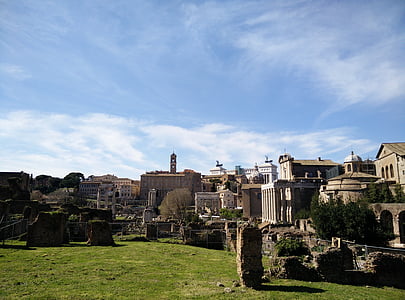 Coliseo, Foro Romano, Italia, Roma, jardín